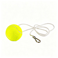 Rebotador de Tenis con Resorte y Altura Ajustable, con 2 Raquetas para Práctica Individual en el Patio Trasero