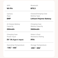 Lunettes Intelligentes IA M02 Ultra Personnalisées avec Caméra 8MP, Enregistrement Audio et Vidéo 4K, Traduction, Assistant IA et Étui de Recharge