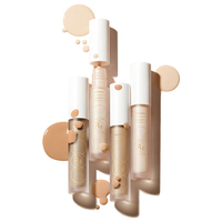 Vente en gros Correcteur liquide minéral imperméable longue durée Fond de teint et correcteur Corée du Sud Correcteur maquillage Pro