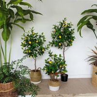NINI Bonsaï d'intérieur Citronnier Artificiel, Plante Verte en Plastique pour Décoration de Salon et Magasin de Vêtements