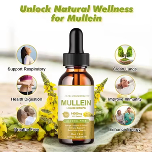 OEM Private Label Mullein Leaf Extract Drops para Pulmão Absorção Rápida Pulmões Naturais Suporte Imunológico Mullein Drops - Product Image 3