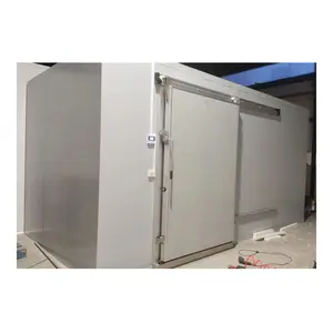 Tùy chỉnh đi bộ trong tủ lạnh Cooler tủ đông thực phẩm lưu trữ container 20ft phòng lạnh
