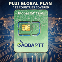 Tarjeta SIM IOT GaodaPTT Plan Básico, Tarjeta SIM IOT 4G para Walkie Talkie PoC, Radio Bidireccional, Conmutación Automática de Red, Conexión Global