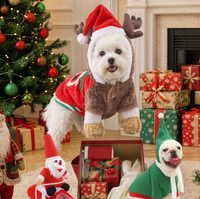 Ensemble confortable et classique de chapeau et écharpe de Père Noël pour animaux de compagnie avec boucle et pompon rouge/blanc pour chats et chiens