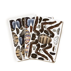 <span class=keywords><strong>Puzzle</strong></span> <span class=keywords><strong>3D</strong></span> en bois de insecte aquatique <span class=keywords><strong>géant</strong></span>, kit de montage DIY, modèle d'insecte, jouet éducatif STEM pour enfants et adultes - Product Image 6