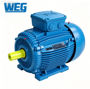 Motor Weg W22 W21 de 415 V 50 Hz, 200 A, 6 Polos, 18.5 kW 22 kW, Motor Asíncrono Trifásico de CA, Apto para Equipos Mecánicos - Product Image 5