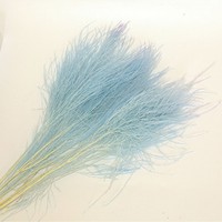 Eeuwige Bloem Steengras Dromerig Gras Lang Haar Gras Ins Stijl Bruiloft Accessoires Huisdecoratie