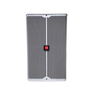 T-10 Âm Thanh Mạnh Mẽ, Loa Toàn Dải 10 Inch Đơn Hệ Thống Âm Thanh Thiết Bị Âm Thanh/Bộ Khuếch Đại/Loa Âm Thanh Chuyên Nghiệp - Product Image 5