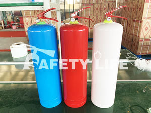 Cilindro <span class=keywords><strong>de</strong></span> extintor vacío con base <span class=keywords><strong>de</strong></span> flor <span class=keywords><strong>de</strong></span> ciruelo para extinción <span class=keywords><strong>de</strong></span> incendios - Product Image 5