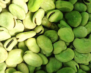 Fave Intere Pelate Surgelate IQF Certificate HALAL per Ful Medames e Cucina Egiziana, Fave Congelate di Qualità Premium - Product Image 4