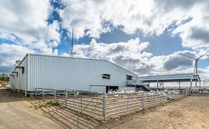 Matériaux de construction en métal pour le bétail Conception de ferme légère pour bétail Mouton Vache Chèvre Granges ASTM Standard Soudage Coupe Inclus - Product Image 2