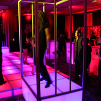 Cage lumineuse scène décorative plate-forme de danse décapant danse GOGO Cage scène lumières couleur LED GoGo plate-forme de danse