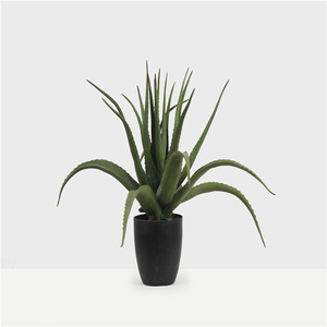 Planta falsa <span class=keywords><strong>de</strong></span> precio barato al por mayor <span class=keywords><strong>de</strong></span> alta simulación <span class=keywords><strong>de</strong></span> 45cm <span class=keywords><strong>de</strong></span> altura, planta suculenta <span class=keywords><strong>de</strong></span> aloe <span class=keywords><strong>vera</strong></span> artificial verde en maceta para decoración del hogar - Product Image 3