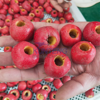 Industriële fruitdroogapparatuur warmtepomp fruitdehydrator jujube, passievrucht, drakenvrucht, palmpitdroogmachine