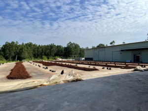 โป๊ยกั๊กแห้งหอม 200 กรัม เครื่องเทศแบบเม็ดสำหรับปรุงรสเนื้อ <span class=keywords><strong>ผง</strong></span>เครื่องเทศห้าชนิด <span class=keywords><strong>ปรุง</strong></span>รสให้กลมกล่อม จัดส่งรวดเร็ว - Product Image 5