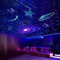 Kit de plafonnier Starlight Twinkle RGBW à double port, LED à changement de couleur, contrôle par application, 32W 12V, fibre optique pour voiture 0,75 mm, indice de protection IP33, 6000K