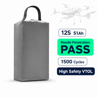 Batterie NMC TPENERGY 12S 51Ah pour drone agricole VTOL, cellules semi-solides, test de pénétration par aiguille haute sécurité réussi
