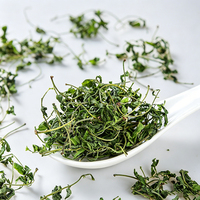 Té de Hojas de Azufaifo Silvestre |   Té Herbal para el Sueño |   Sin cafeína |   Secado a Granel |   OEM Personalizado |   Directo de Fábrica