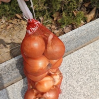 Sac de maille mono d'oignon d'ail de pomme de terre de couleur rouge sacs de maille de bonne qualité