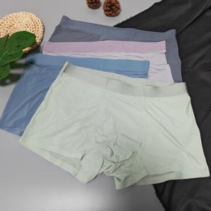 <b>Custom</b> Logo Nylon Spandex Wholesale Mens Briefs & <b>Boxers</b> Hot Sale New Desgin <b>Boxer</b> Breathability Man Underwear Solid Color - Product Image 1