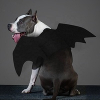 Costume d'hiver personnalisé en feutre pour chien, thème Halloween, fabriqué au Vietnam, taille sur mesure