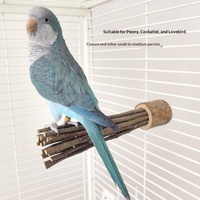 Perchoir en spirale pour oiseaux en bois naturel fait main, en forme de branche de pivoine, accessoire de cage pour perroquets, macaws, grises africaines et cockatiels