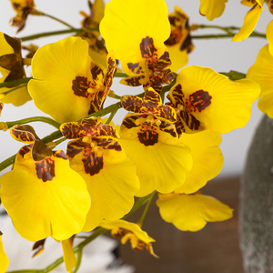 <span class=keywords><strong>Orchidée</strong></span> artificielle jaune <span class=keywords><strong>Oncidium</strong></span> réaliste et souple de 81 cm, idéale pour les arrangements floraux et les mariages - Product Image 3