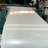 Bobine d'acier prélaqué PPGL en gros, bobine d'acier Galvalume prépeinte 0,2-1,0 mm, rouleau revêtu de zinc-alume avec service de pliage de précision pour bardage