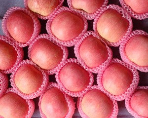 Prix bon marché Aliments sains Fruits frais de haute qualité Pommes Fuji douces - Product Image 2