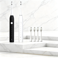 Kit de Blanchiment Dentaire USB de Haute Qualité en Gros avec 4 Têtes de Brosse à Dents Souples de Voyage et Brosse à Dents Électrique à Oscillation Intelligente