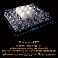 Plateaux à œufs en plastique transparent 30 trous PET recyclables personnalisés pour 30 œufs