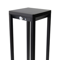 Lumières de jardin LED étanches d'extérieur modernes Détecteur de mouvement solaire en aluminium moulé sous pression pour jardins et chemins