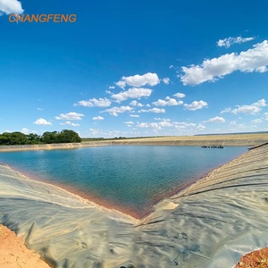 Géomembrane de revêtement d'étang en HDPE imperméable de 0.6mm pour le lac de <span class=keywords><strong>bâche</strong></span> de crevette d'aquarium d'aquaculture aux Philippines - Product Image 5