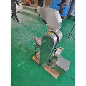 Extractor de jugo de cítricos industrial de jengibre de bajo precio - Product Image 6