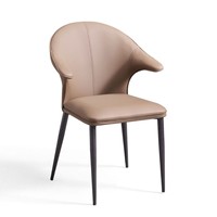 Chaises de salle à manger de style nordique, luxe abordable, fauteuils avec dossier, chaises en métal durables, chaises de salon