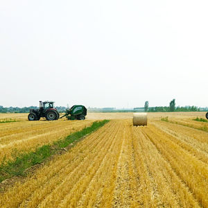 100% pe מתכלה balle Ballennetz ךטה לכל balle בייל לעטוף נטו feed איטי חציר רשתות - Product Image 6