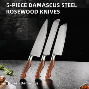 Ensemble de 5 couteaux de cuisine en acier Damas, couteaux de chef en acier poudré, couverts pour la cuisine à domicile, manche en bois, étui en cuir, couteaux de chasse - Product Image 2