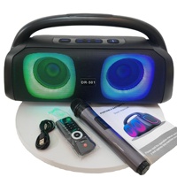 Tersedia DR-501 Penjualan Langsung Pabrik Versi Lintas Negara Portabel untuk Speaker Plastik 5.0 40W untuk Pesta KTV Sound