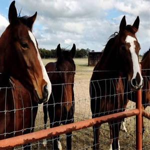 Yuking Wholesale Crimped Welded <b>Wire</b> <b>Mesh</b> Iron Fencing Panels for Cattle Sheep Horse Corral Pasture Farm Fence 2.0-3.0mm - Product Image 4