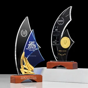 Nouveau trophée en verre cristal irrégulier, spécialement conçu, avec gravure et impression typographique, portable, pour <span class=keywords><strong>résumé</strong></span> intermédiaire d'entreprise - Product Image 1