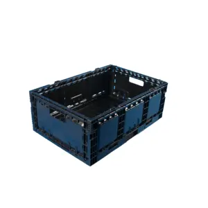 55L Plastic moving foldable fruit and vegetable crate for euro table for sale