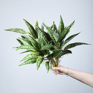 Planta de Serpiente Artificial Mengjie Handicrafts de 30cm-100cm, PVC Suave con Raíces, Decoración Interior y Exterior - Product Image 2