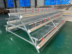 Jaula para Pollos Galvanizada por Inmersión en Caliente de Fábrica, 3 Niveles, 120 Pollos - Product Image 6