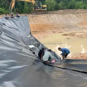 Đúc sẵn thân thiện với môi trường axit và kiềm kháng và bền geomembrane cho ao Cá Ao ao lót dự án dam