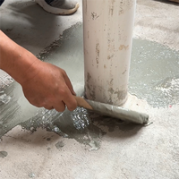 Revêtement imperméabilisant en ciment polymère JS, à base d'eau, écologique, haute résistance, imperméabilisation universelle des bâtiments, caoutchouc liquide pour murs
