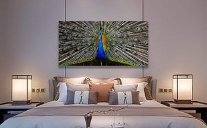 Looife 40x20 inch màu xanh vải tường nghệ thuật đầy màu sắc con công đuôi lông động vật bức tranh cho phòng khách phòng tắm giclee in - Product Image 5