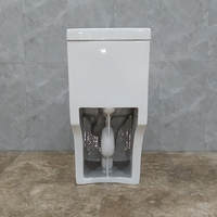 WC monobloc en céramique à siphon S-trap 300 mm, double chasse, fermeture douce, qualité supérieure, prix usine, pour villa