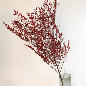 <span class=keywords><strong>Flor</strong></span> Eterna de <span class=keywords><strong>Nandina</strong></span>, Planta Ma Zui Mu Doméstica, <span class=keywords><strong>Flor</strong></span> Real para Decoración de Sala de Estar o Cafetería, Ramas Secas Creativas - Product Image 6