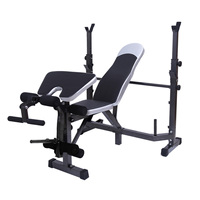 Banc de musculation portable multifonctionnel réglable et pliable pour exercices de musculation, de press d'abdominaux et de développé couché, pour haltères et poids