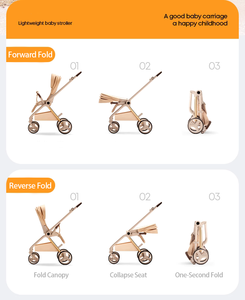 <strong>3</strong> in <strong>1</strong> Coche De Bebe Foldable Baby <strong>Stroller</strong> Manufacturer Looking for Distributors and Wholesale Partners - Product Image 2